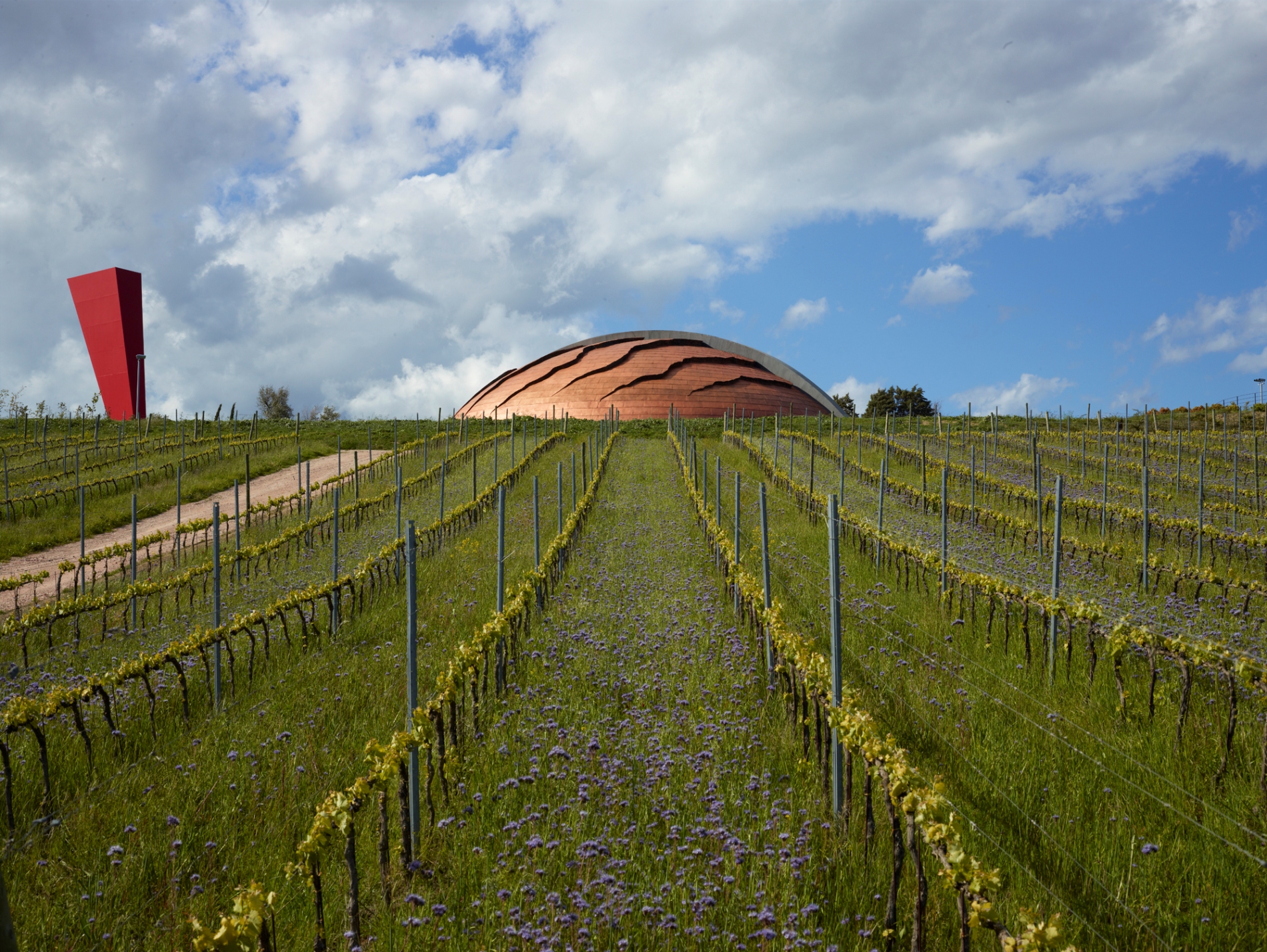 Iniziata la vendemmia presso la Tenuta Castelbuono in Umbria