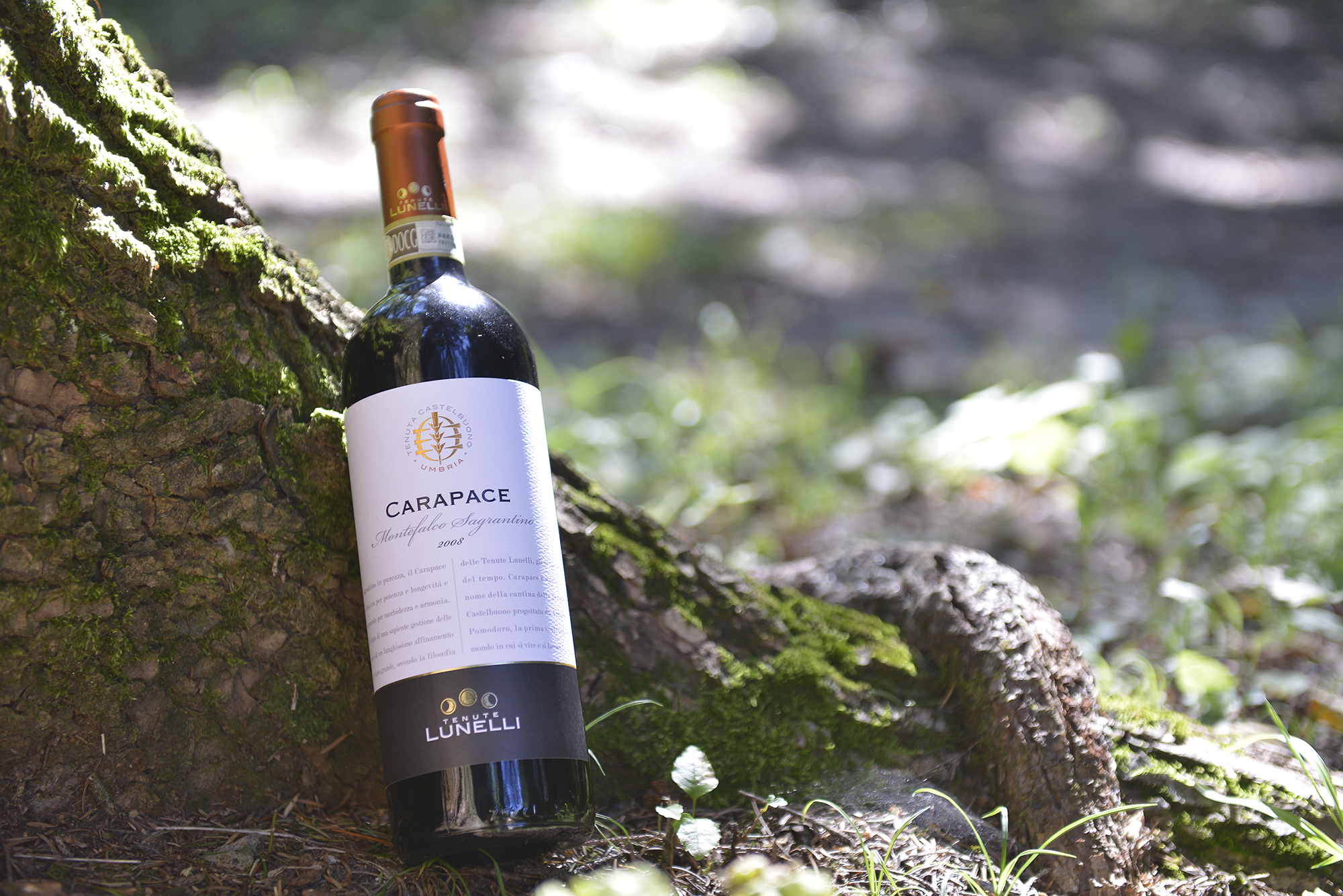 Wine Enthusiast premia con 94 punti su 100 il Montefalco Sagrantino delle Tenute Lunelli