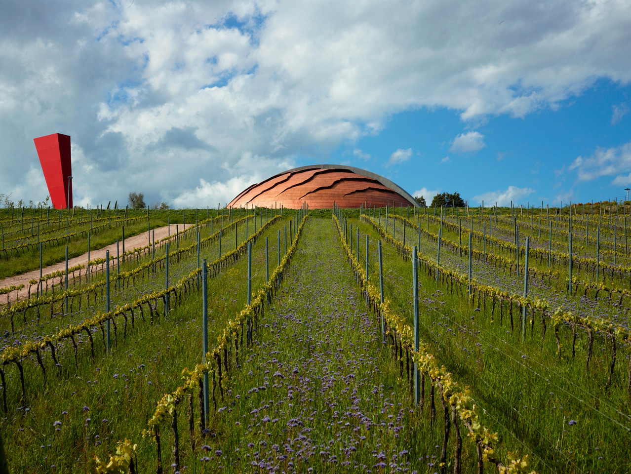 The Carapace was honored as a “phenomenal winery” while Lampante is counted as one of the top wines in Italy