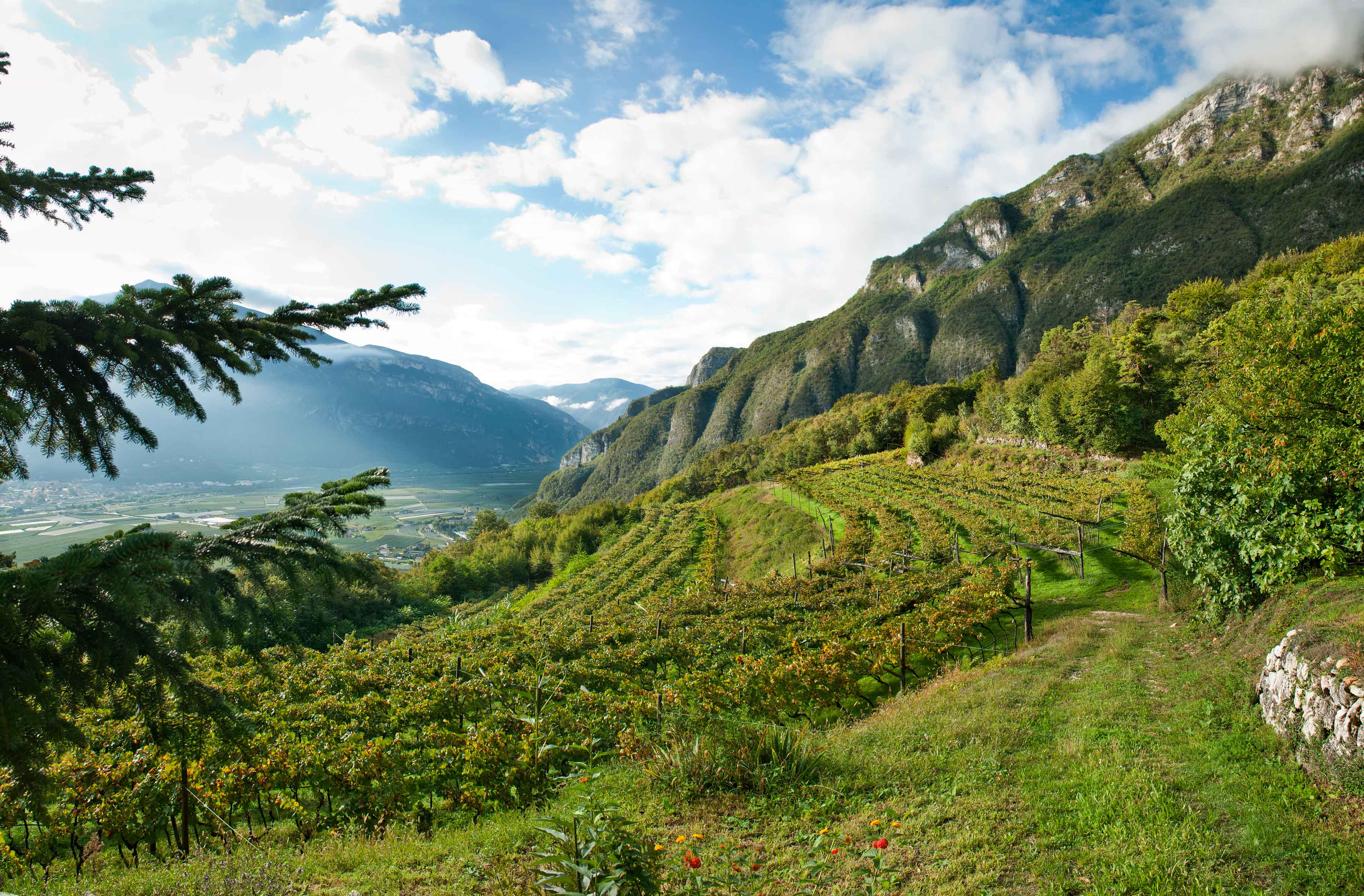 Le Tenute Lunelli presentano le nuove annate dei vini di Tenuta Margon