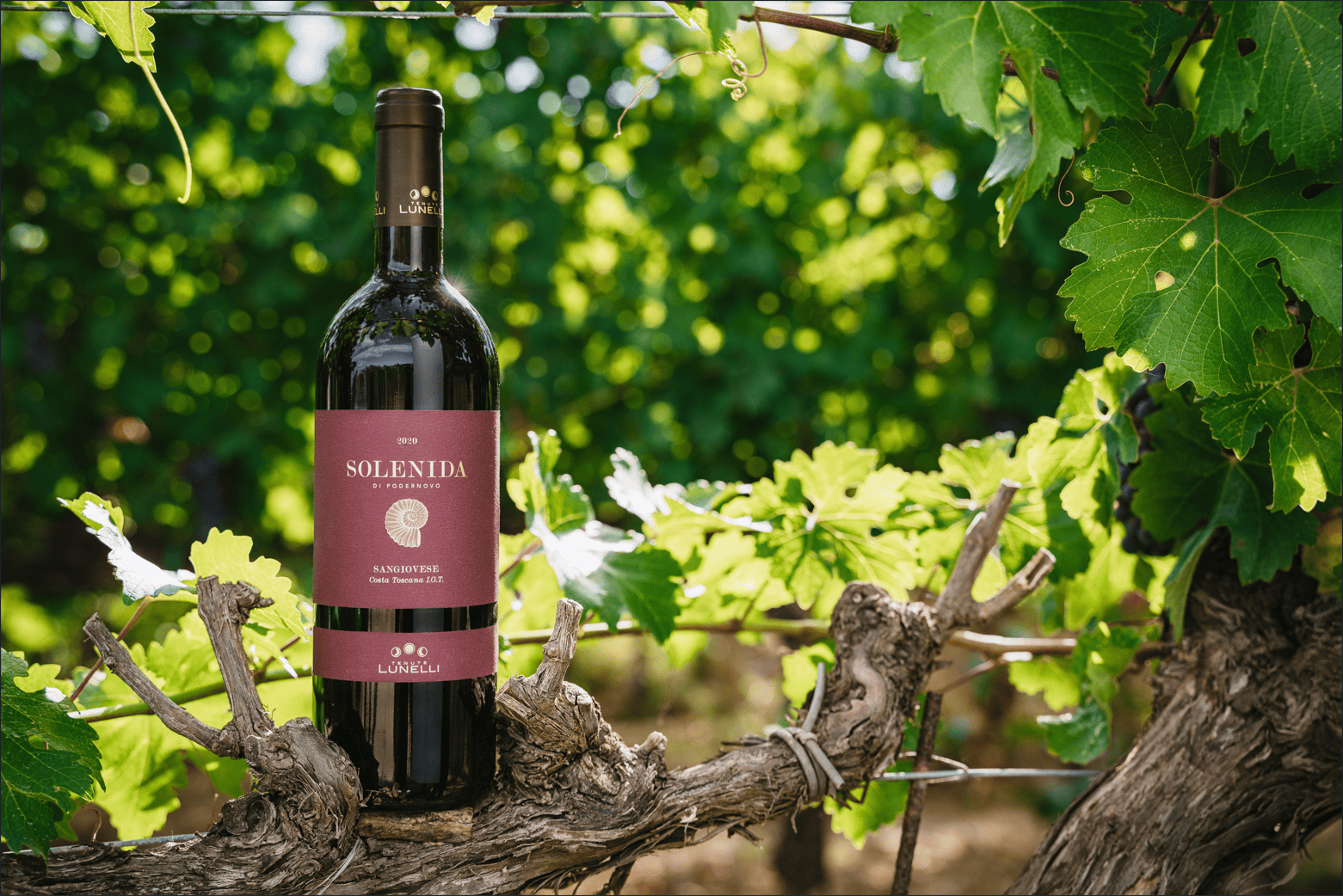 Falstaff Awards Solenida 2020 and Teuto 2023 from Tenute Lunelli - Podernovo