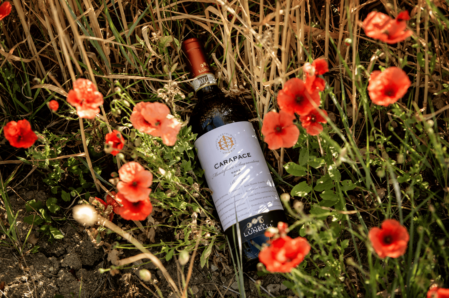 Tenute Lunelli Wines Honoured at The WineHunter Award 2026